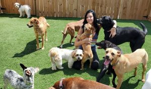 Carolyn hugging a group of dogs