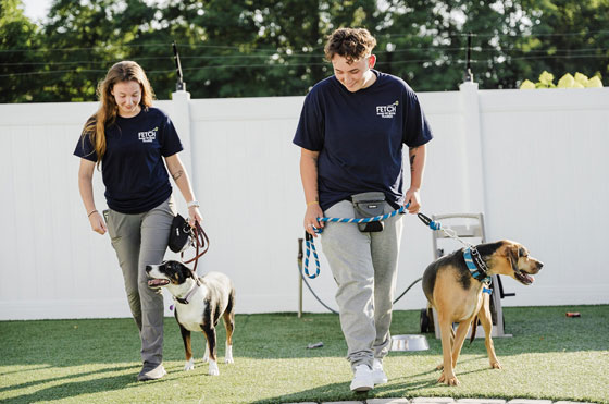 dog-training-image-1 Dog trainers with two dogs