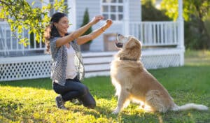 woman training dog