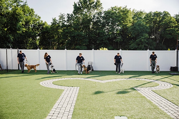 fetch-dog-training-philosophy-600x400-crop trainers working with dogs