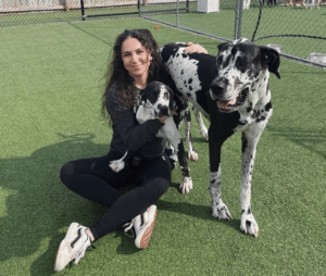 Lily with two dogs